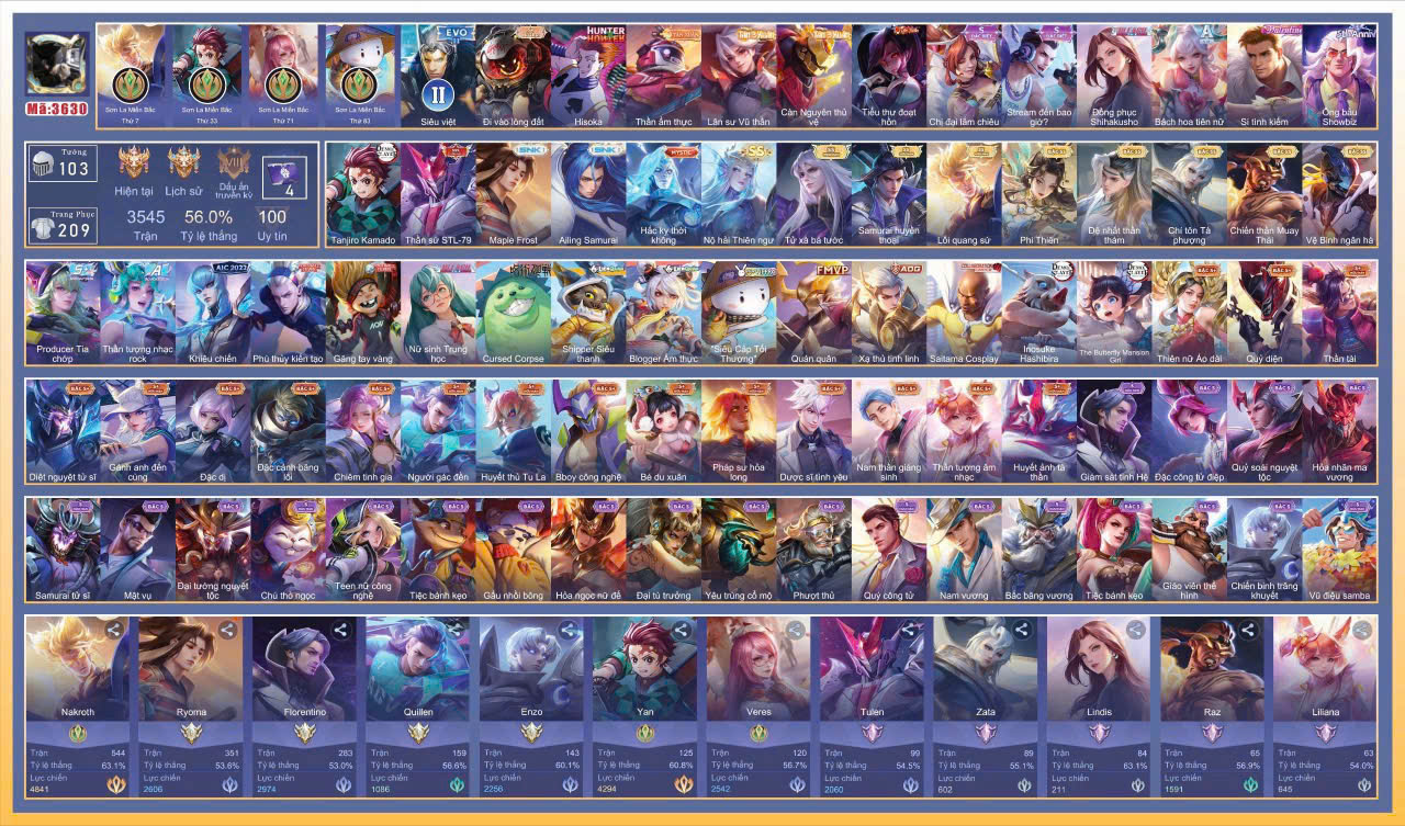 Account Preview